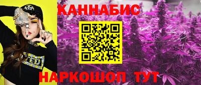 спайс Ачхой-Мартан