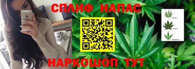 спайс Ачхой-Мартан