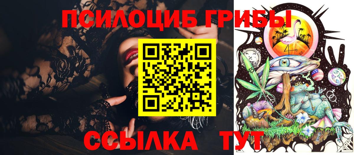 Галлюциногенные грибы Psilocybe  Вход с VPN  Псилоцибиновые грибы Psilocybine cubensis  Белово 