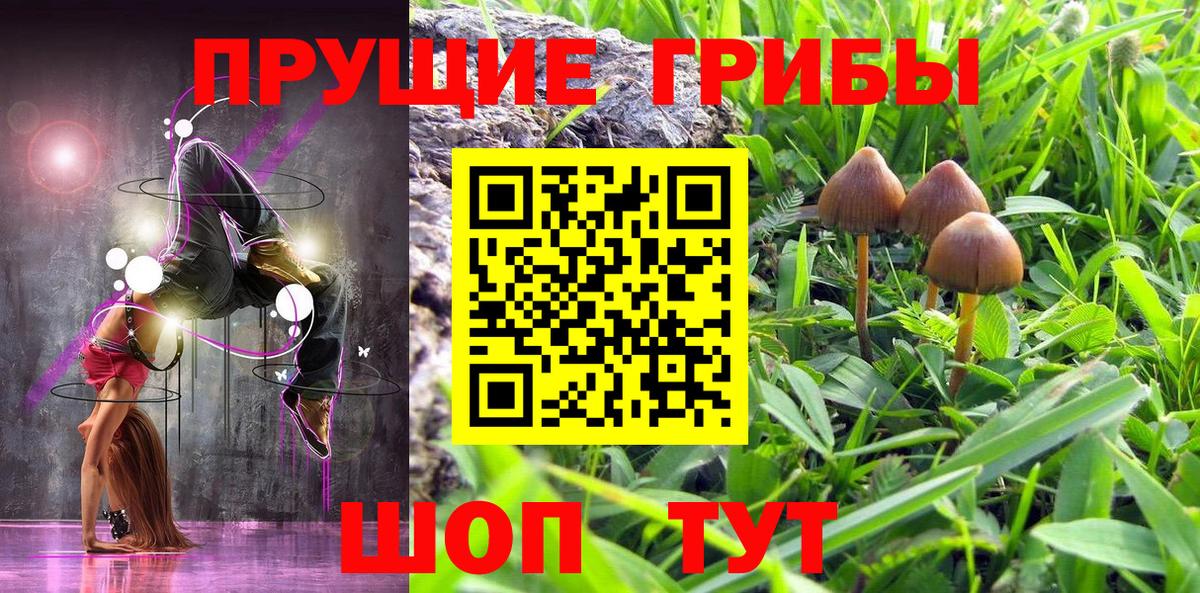 Галлюциногенные грибы Cubensis Белово